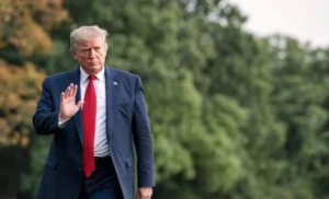 dreamstime_l_312123095-e1727074218841-768x467