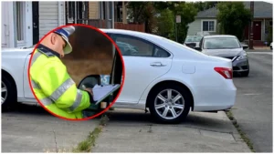 amenzi-soferii-parcheaza-masinile-trotuarul-casei-politist