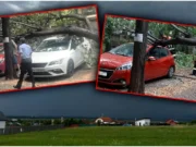 Furtunile au făcut prăpăd în țară. Copaci căzuți peste mașini și inundații masive în Prahova și Bacău. Foto + Video