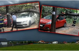 Furtunile au făcut prăpăd în țară. Copaci căzuți peste mașini și inundații masive în Prahova și Bacău. Foto + Video