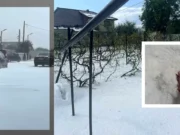 Fenomene meteo extreme în Neamț după ploaia cu grindină: Fotografii cu „zăpadă” depusă în toiul verii au fost distribuite pe internet