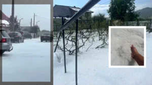 https___www.gandul.ro_wp-content_uploads_2025_07_grindina-neamt