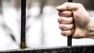 https___www.gandul.ro_wp-content_uploads_2025_07_outdoors-2024-12-04-13-31-41-utc-1280x853