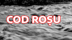 media-175367960944323100