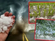 Prognoza meteo anunţă fenomene extreme. Se formează supercelule cu grindină şi posibile tornade după domul de căldură, apoi revine canicula