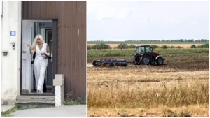 udrea-firma-faliment