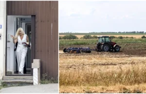 Ce notificare a primit Elena Udrea în dosarul de faliment al firmei sale. Motivul pentru care instanța a vrut să înlocuiască lichidatorul judiciar