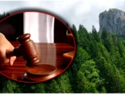 Un proces celebru se reia după 20 de ani: „O veste excelentă!” Sunt în joc peste 300 de milioane de euro