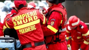 design-fara-titlu-2025-08-16t152319527