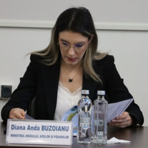 diana-buzoianu2_78493800