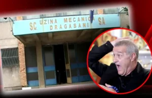 Gigi Becali s-a dezlănțuit după ce i-a fost blocată 3 ani o afacere de 13.000.000 de euro: “Bă, nu e a statului! Ești nebun la cap?”