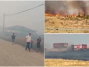 Incendiu masiv de vegetație în Gorj: oamenii au ieșit în stradă, cu copiii în brațe. O construcție și mai multe mașini au fost făcute scrum