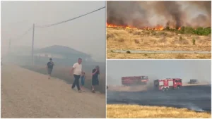 incendiu-de-vegetatie-gorj