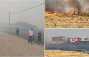 Incendiu masiv de vegetație în Gorj: oamenii au ieșit în stradă, cu copiii în brațe. O construcție și mai multe mașini au fost făcute scrum