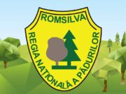 Romsilva caută director pe cinci luni: Anunțul de recrutare s-a postat pe o rețea de socializare