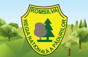 Romsilva caută director pe cinci luni: Anunțul de recrutare s-a postat pe o rețea de socializare