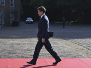 Nicușor Dan, baie de mulțime. A stat pe jos la concert. Nu la Untold, ci la Festivalul Lupilor / foto în articol