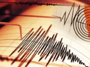 Cutremur în România! Ce magnitudine a avut seismul și în ce zone s-a resimțit