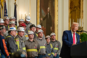 54442073988_98f4b15cab_3k_60451100