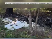 Consilier AUR, în stare gravă după ce s-a prăbușit cu avionul. Incidentul a avut loc în curtea unei unități militare