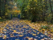 Vremea azi în România. Toamna își intră în drepturi, iar frigul se instalează în toate zonele țării