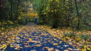 trees-4667860_1280_0fad213975