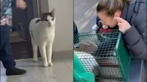 571165297_1402733701218423_7335428604908861234_n_174b02efb1