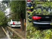 Furtuna a făcut ravagii în București. Peste 200 de copaci au fost doborâți de vântul puternic iar 163 mașini au fost avariate
