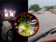 Ciclonul Barbara a produs pagube în București și în țară: 20 de județe afectate. Copaci căzuți, mașini distruse, localități rămase fără curent. Update