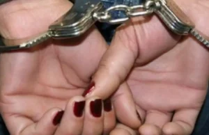 Sora fostului ministru de Interne, Carmen Dan, reținută 24 de ore în dosarul de înșelăciune în care este cercetată