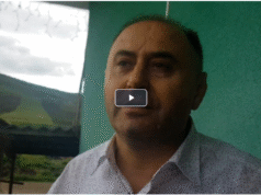 Mită, violenţe şi ameninţări mafiote pentru a scăpa de şeful DSV. Fănel Bogos: „Tu pleci cu popa”