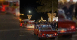 Captură de ecran 2025-11-15 133704