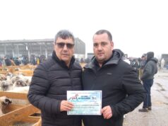 Expoziția de cabaline și ovine de la Amărăștii de Jos a ajuns la cea de-a IV-a ediție – o sărbătoare a tradițiilor și a muncii crescătorilor din zonă
