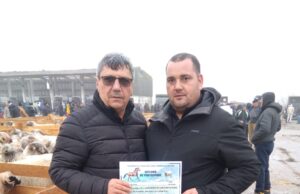 Expoziția de cabaline și ovine de la Amărăștii de Jos a ajuns la cea de-a IV-a ediție – o sărbătoare a tradițiilor și a muncii crescătorilor din zonă