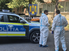 Octogenară ucisă de un ‘cocktail letal’ din vin, săpun și medicamente de femeia care avea cea mai mare încredere. Miza – un apartament în Ilfov