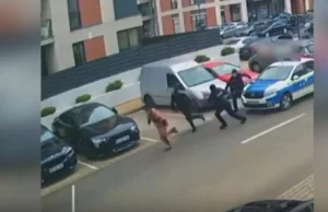 Doi pretinși colindători au tot încercat ușile unui bloc din Arad. Locatarii au chemat poliția, care i-a pus pe fugă