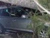 Furtuna a făcut ravagii pe Valea Prahovei: copaci smulși de vânt la Sinaia și un autoturism avariat