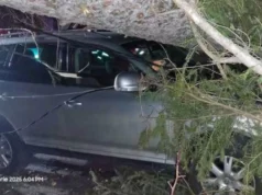 Furtuna a făcut ravagii pe Valea Prahovei: copaci smulși de vânt la Sinaia și un autoturism avariat