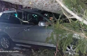 Furtuna a făcut ravagii pe Valea Prahovei: copaci smulși de vânt la Sinaia și un autoturism avariat