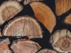 Prețul lemnelor de foc în 2025. Cu cât vinde Romsilva metrul cub și unde sunt cele mai mici prețuri
