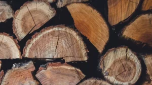 wood-9750452_1280_01336864a2