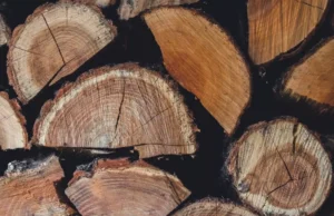 Prețul lemnelor de foc în 2025. Cu cât vinde Romsilva metrul cub și unde sunt cele mai mici prețuri