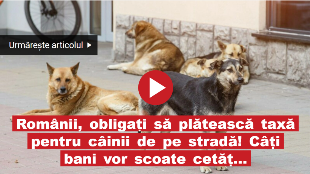 Captură de ecran 2026-01-11 214156