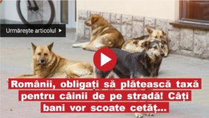 Captură de ecran 2026-01-11 214156