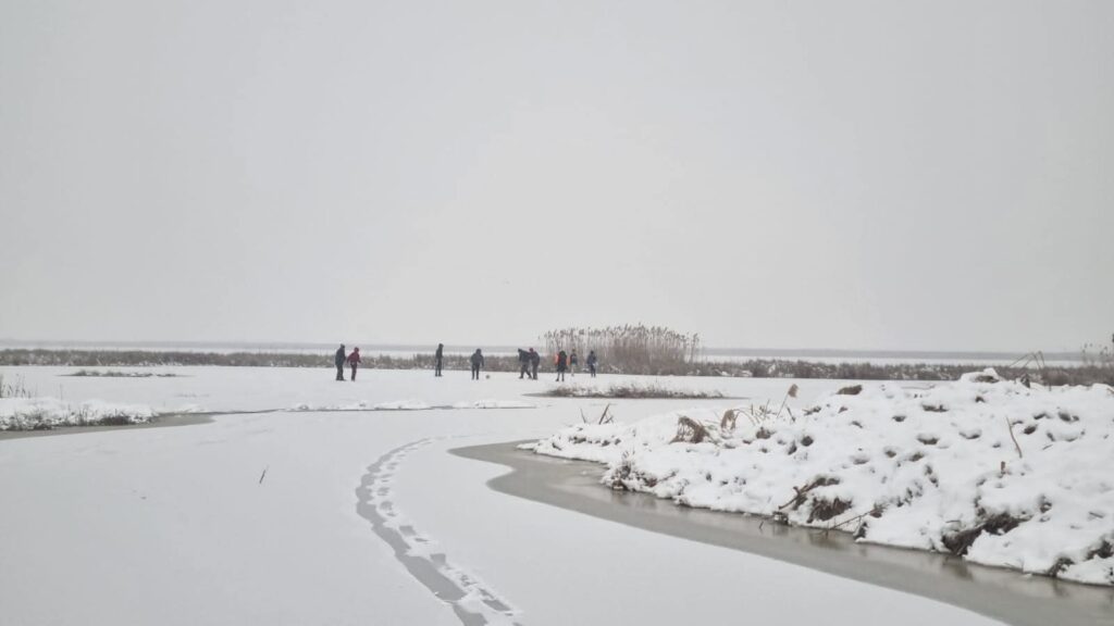 WhatsApp Image 2026-01-19 at 09.31.17