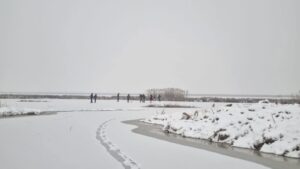 WhatsApp Image 2026-01-19 at 09.31.17