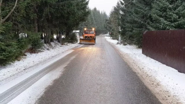 polei-(1)_794bd33ab6