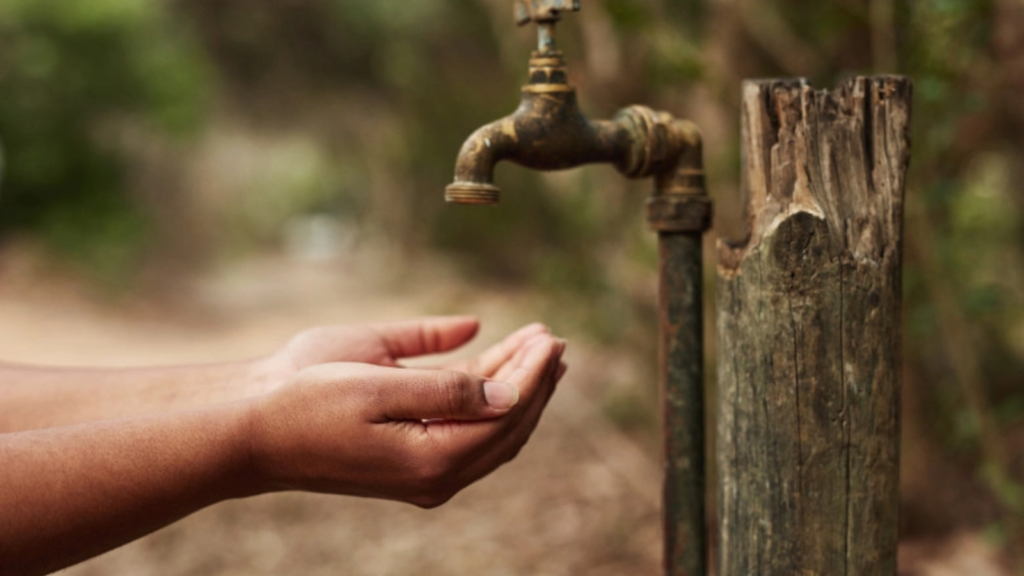 media-172469171327567500